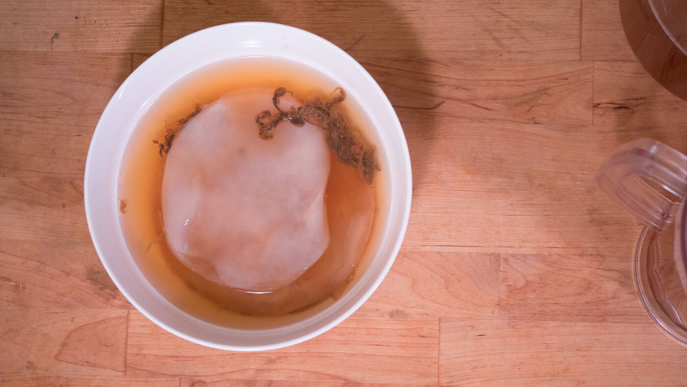 A kombucha SCOBY resting in a bowl of starter tea