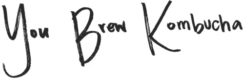 You Brew Kombucha